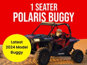 1- Seater Polaris Buggy