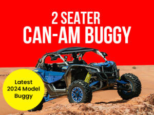 2 Seater Can-Am Buggy