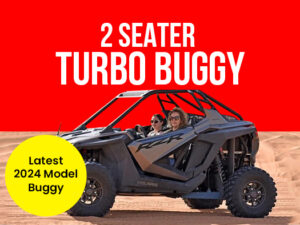 2 Seater Turbo Buggy