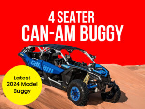 4 Seater Can-Am Buggy