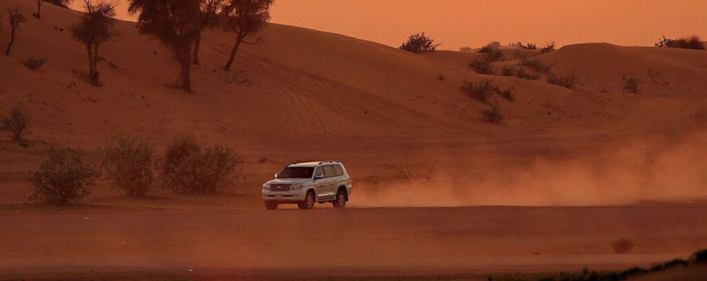 Best desert safari Dubai